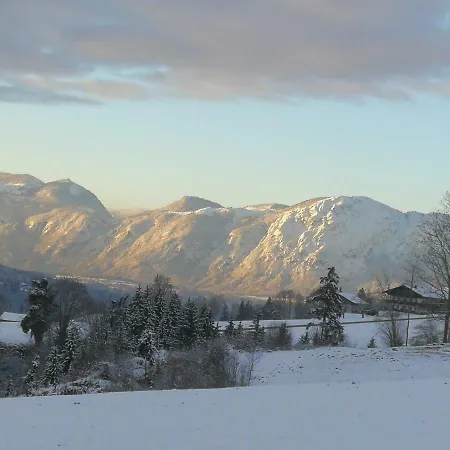 Tramplhof Alpenblick 公寓 *