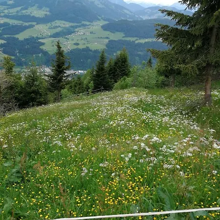 Apartment Tramplhof Alpenblick Hopfgarten im Brixental